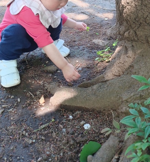 フェリーチェ 中野新橋園