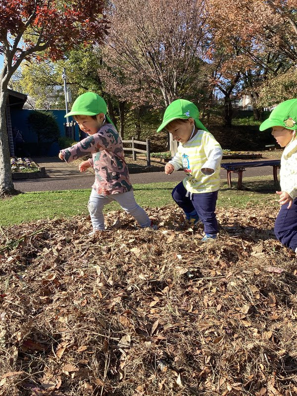 自然との関わり