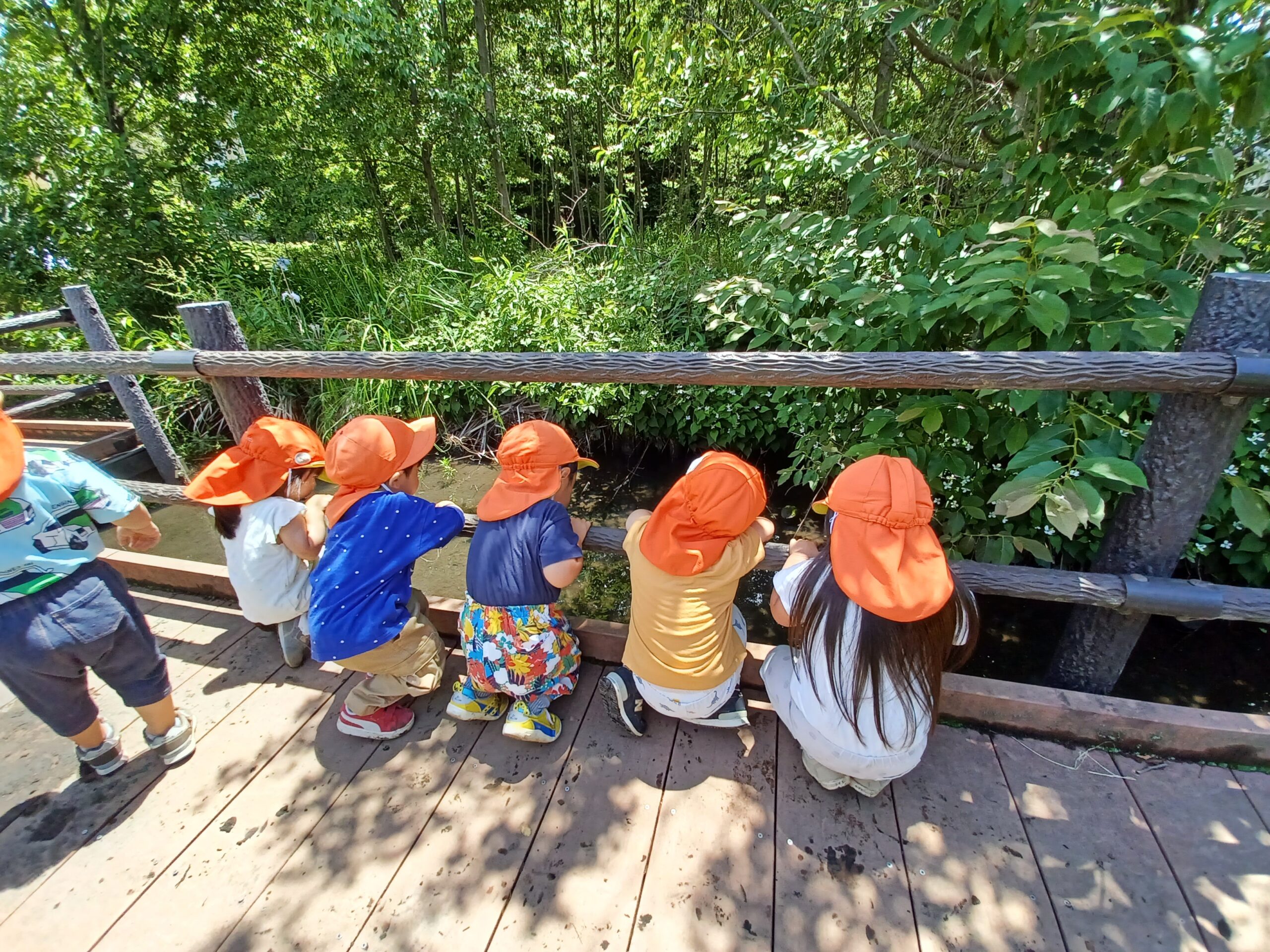 feliceフェリーチェ 鳩ヶ谷園